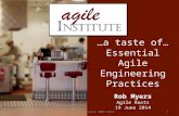 Assessing the business value of Agile Engineering Practices