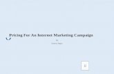 Pricing for an internet marketing campaign