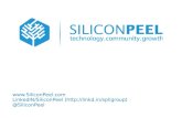 Silicon Peel Meetup #6: Technology Innovation