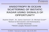 ANISOTROPY IN OCEAN SCATTERING OF BISTATIC RADAR USING SIGNALS OF OPPORTUNITY.ppt