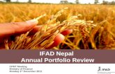 Annual Portfolio Review 2012(1)