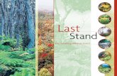 The Last Stand -- Vanishing Hawaiian Forest