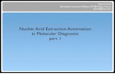 Nucleic Acid Extraction Automation Overview (early 2011)