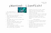 Wanted Lionfish