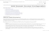 SAS Domain Access Configuration
