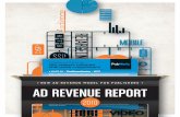 Ad Revenue Report 2010