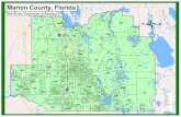 Marion County Florida Precinct Map