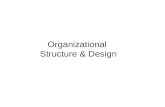Organisational Design Ms10