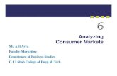 Analyzing Consumer Market