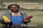 CIMMYT Annual Report 2010-2011: Acute awareness bold action to energize agriculture
