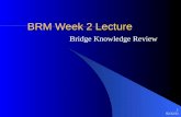 BRM Lecture 2_053  Bridge Resource Management
