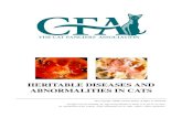 Heritable Diseases in cats