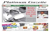 Platinum Gazette 11 January 2013
