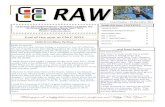 RAW E-newsletter, December 2012