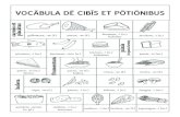 Visual Dictionary for Latin Food Words (Key)