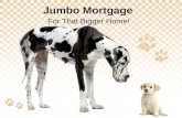 Jumbo Mortgage Home Loan Peter Boyle Nm