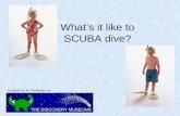What’s It Like To Scuba Dive
