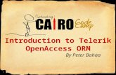 Introduction to Telerik OpenAccess ORM