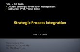 Strategic Process Integration