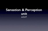Sensation Unit slides