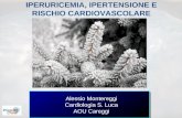 IPERURICEMIA, IPERTENSIONE E RISCHIO CARDIOVASCOLARE Alessio Montereggi Cardiologia S. Luca AOU Careggi.