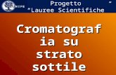 Cromatografia su strato sottile - TLC - Progetto Lauree Scientifiche.