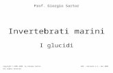 Invertebrati marini Prof. Giorgio Sartor Copyright © 2001-2008 by Giorgio Sartor. All rights reserved. G03 - Versione 1.3 – dec 2008 I glucidi.
