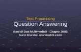Text Processing Question Answering Basi di Dati Multimediali - Giugno 2005 Marco Ernandes: ernandes@dii.unisi.it
