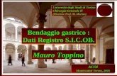 Università degli Studi di Torino Chirurgia Generale II (Direttore Prof. M. Morino) Mauro Toppino Bendaggio gastrico : Dati Registro S.I.C.OB. Bendaggio.