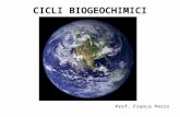 CICLI BIOGEOCHIMICI Prof. Franca Perin. CICLI BIOGEOCHIMICI Il ciclo biogeochimico (o ciclo vitale) è il percorso seguito da un determinato elemento chimico.