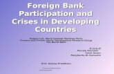 Foreign Bank Participation and Crises in Developing Countries Robert Cull, María Soledad Martínez Pería Finance and Private Sector Development Research.
