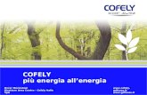COFELY più energia allenergia   Oscar Merendoni Direttore Area Centro - Cofely Italia SpA.