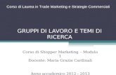 GRUPPI DI LAVORO E TEMI DI RICERCA Corso di Shopper Marketing – Modulo 1 Docente: Maria Grazia Cardinali Anno accademico 2012 - 2013 Corso di Laurea in.