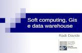 Soft computing, Gis e data warehouse Radi Davide.