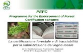 PEFC Programme for the Endorsement of Forest Certification schemes La certificazione forestale e di tracciabilità per la valorizzazione del legno locale.