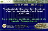 Vittorio Emanuele, MD Division of Cardiology Magna Graecia University Campus Germaneto Centro di Riferimento Regionale per la Terapia Endovascolare delle.
