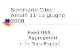Seminario Ciber: Amalfi 11-13 giugno 2008 Feed RSS, Aggregatori e tic-Tocs Project.