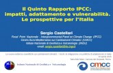 Il Quinto Rapporto IPCC: impatti, adattamento e vulnerabilità. Le prospettive per l’Italia Istituto Nazionale di Geofisica e Vulcanologia (INGV) Sergio.