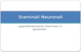 -approfondimento staminali in generale- Staminali Neuronali.