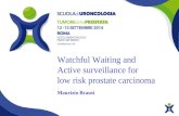 Watchful Waiting and Active surveillance for low risk prostate carcinoma Maurizio Brausi.