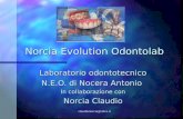 claudionorcia@alice.it Norcia Evolution Odontolab Laboratorio odontotecnico N.E.O. di Nocera Antonio In collaborazione con Norcia Claudio.