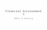 Financial environment 3