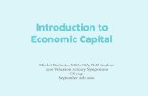 Introduction to economic capital
