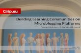 Building Learning Communities on Microblogging Platforms. Study Case: Cirip.eu