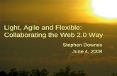 Light, Agile and Flexible: Collaborating the Web 2.0 Way'