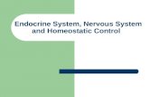 Endocrine System, Nervous System And Homeostatic Control[1]