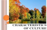 Characteristics of culture
