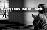 The Story about Destiny Timeson