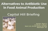 Alternatives to Antibiotic Use in Food Animal Production