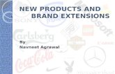 Brand Extensions Ppt 0111